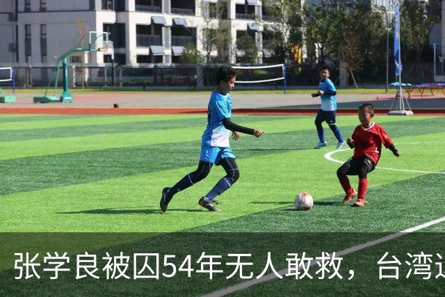 张学良被囚54年无人敢救，台湾退役中将直言：他一点都不冤枉