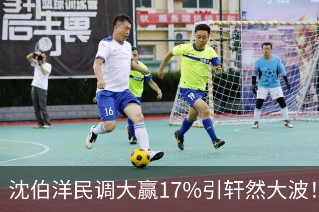 沈伯洋民调大赢17%引轩然大波！彭文正：台湾民调越来越像算命